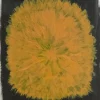 Fine Little Day Julisteet^Dandelion juliste 40x50 cm, Kelta-musta