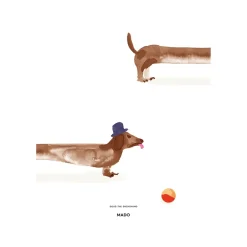 Paper Collective Julisteet|Lastenhuoneen Sisustus^Doug the Dachshund -juliste, 50 x 70 cm