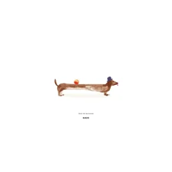Paper Collective Julisteet|Lastenhuoneen Sisustus^Doug the Dachshund -juliste, 30 x 40 cm