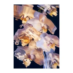 Paper Collective Julisteet^Flora Aquatica 01 juliste, 70x100 cm