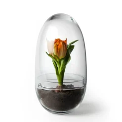 Design House Stockholm Ruukut^Grow-idätysastia, Medium ø11 cm