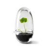 Design House Stockholm Ruukut^Grow-idätysastia, Pieni ø8 cm