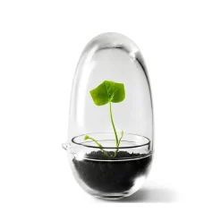 Design House Stockholm Ruukut^Grow-idätysastia, Pieni ø8 cm