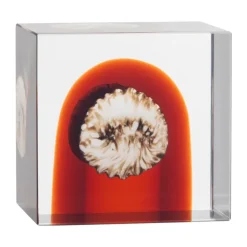 Iittala Taidelasi|Veistokset & Posliinihahmot^vuosikuutio, 2026