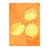 Paper Collective Julisteet^Lemons -juliste, 30 x 40 cm