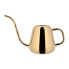 Iittala Vesikannut^Nappula kastelukannu 2 L, Messinki