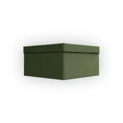 Rug Solid Laatikot & Rasiat^organizer 30x15x30 cm, Pistachio