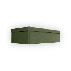Rug Solid Laatikot & Rasiat^organizer 60x15x30 cm, Pistachio