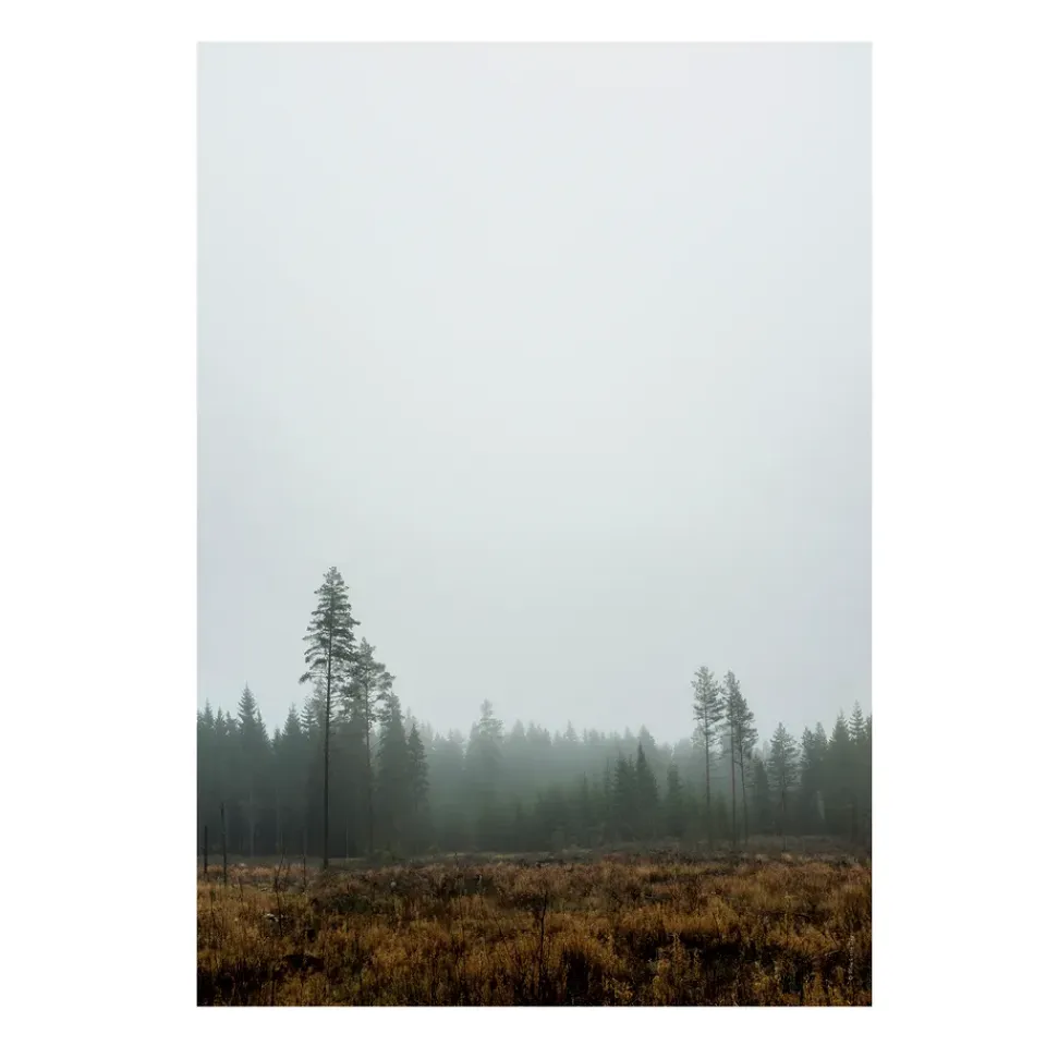 Fine Little Day Julisteet^Skog-juliste, 70 x 100 cm