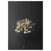 Paper Collective Julisteet^Still Life 04 Hydrangea juliste, 30x40 cm